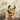 Ada Lea - when i paint my masterpiece