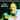 David Clayton-Thomas - Soul Ballads