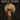 Florence + The Machine - Dance Fever