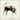 Foy Vance - Joy Of Nothing