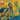 Kenny Garrett - Sounds From The Ancestors