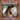 Melissa Etheridge - The Medicine Show