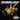 New Model Army - LIVE SO36