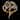 Obituary - Obituary