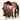 Old 97's - American Primitive